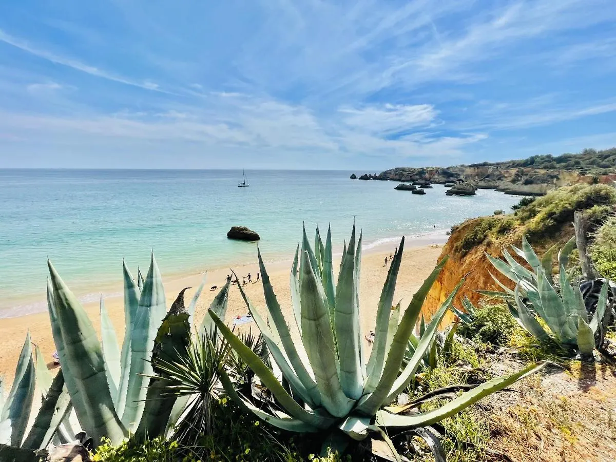Caravela - Beach 200M - South Oriented Terrace Apartment Armacao de Pera Portugal