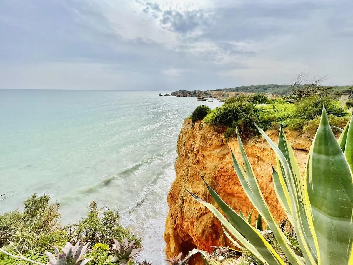 Caravela - Beach 200M - South Oriented Terrace Apartment Armacao de Pera
